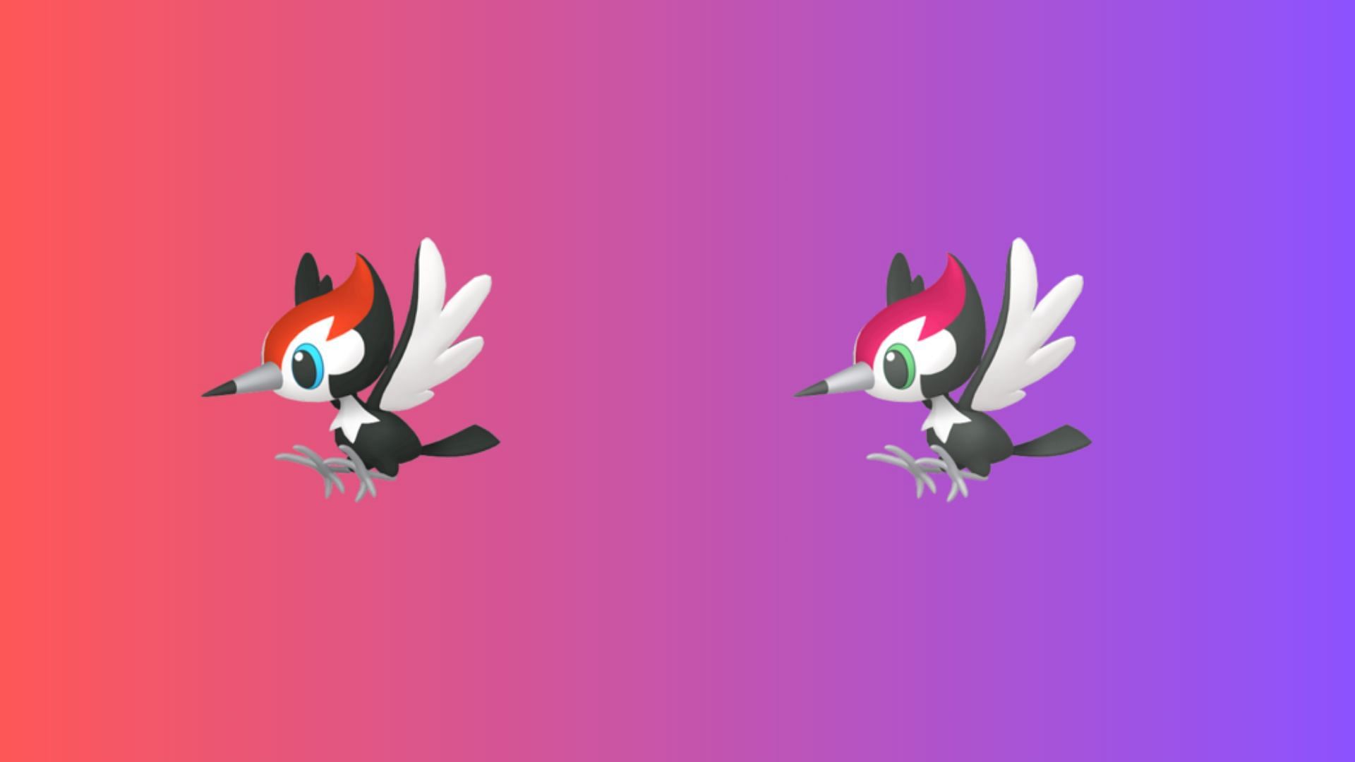 Pikipek and its shiny form (Image via TPC)